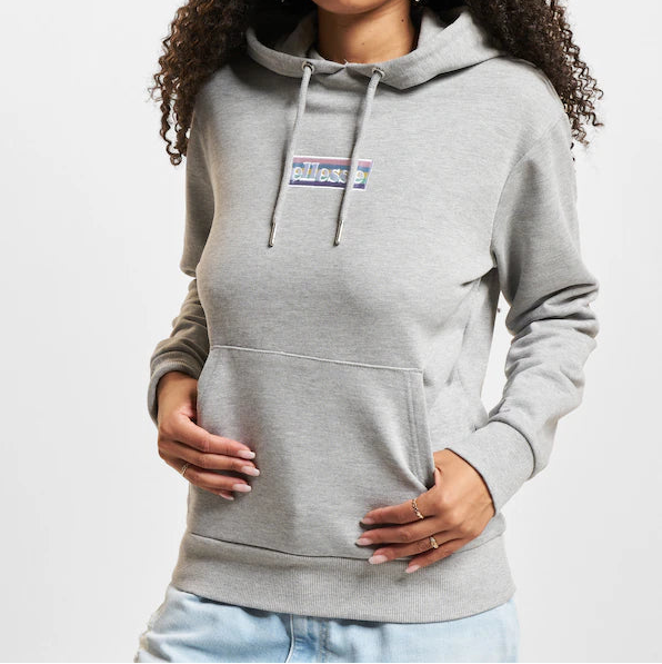 Ellesse Grey Hoodie