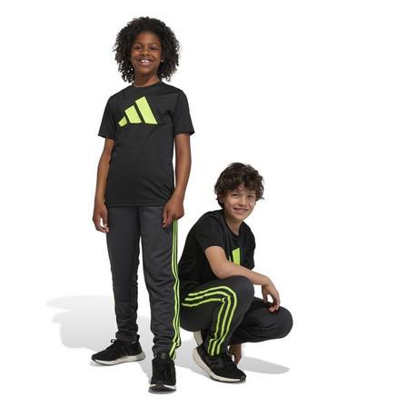 ADIDAS Train Essentials Aeroready Logo Tee